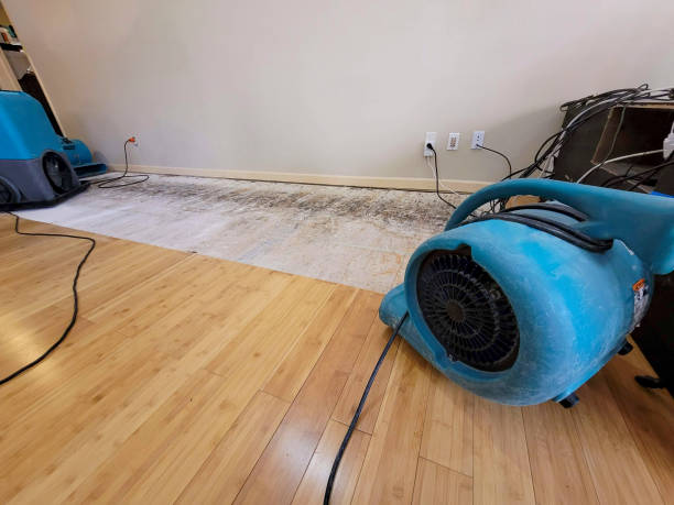 Professional Sewage Cleanup technician working in Riverdale, CA